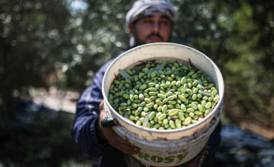 مزارعو الجنوب: كارثة زراعية ما لم ينفذ الدعم