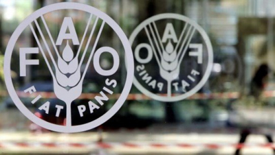 صعود مؤشر أسعار الغذاء العالمية للشهر الثالث على التوالي