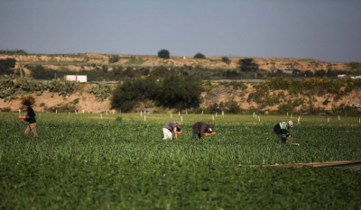 الاحتلال يستهدف طواقم وزارة الزراعة وصحافيين في خانيونس